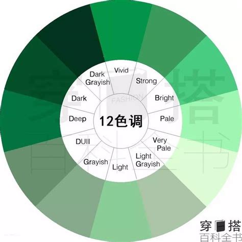 綠色色階|設計配色完整攻略 